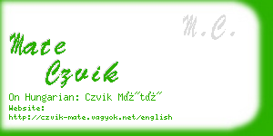 mate czvik business card